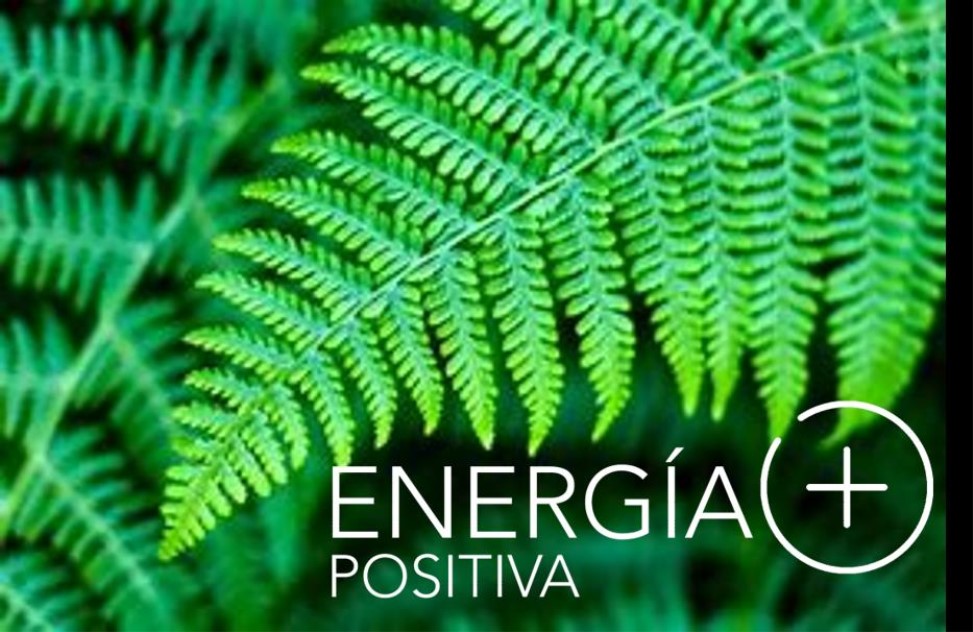 logomontado_Energia Positiva +.png
